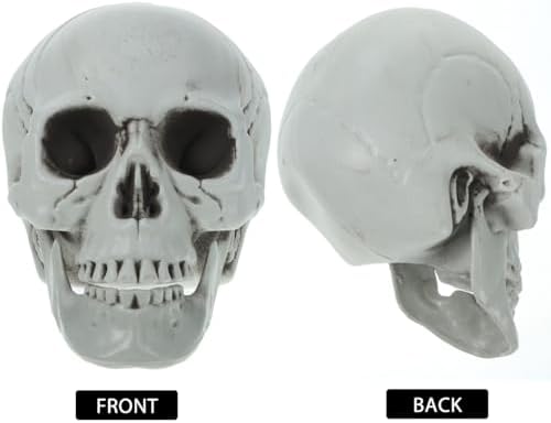 Magiclulu Life-Size Halloween Skull Decor