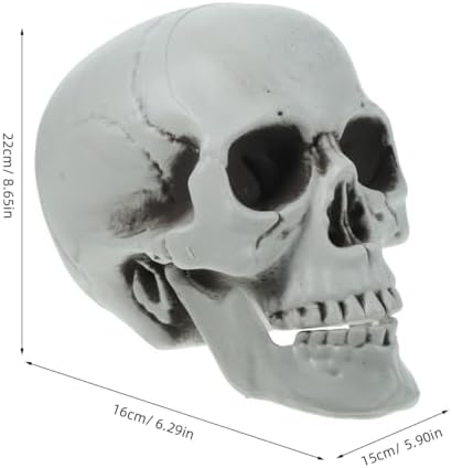 Magiclulu Life-Size Halloween Skull Decor