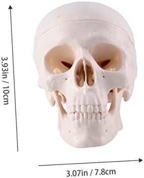 Creative Halloween Skull Decoration for Parties and Pranks