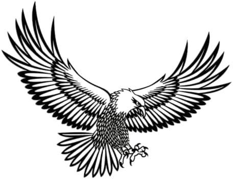 Custom Name Colorful Eagle Metal Wall Art Sign