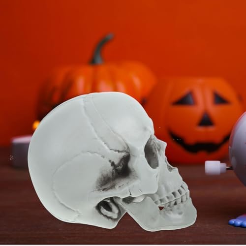Magiclulu Life-Size Halloween Skull Decor