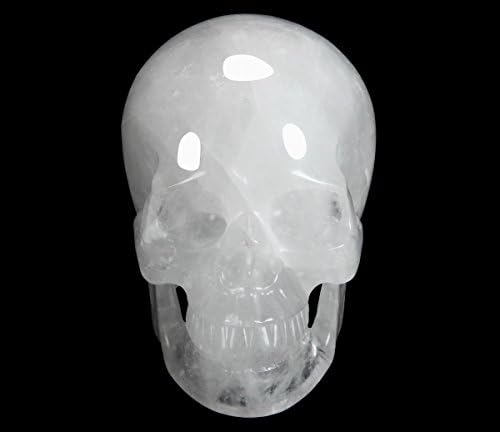 Huge 5 Inch Realistic Angolan Quartz Crystal Skull