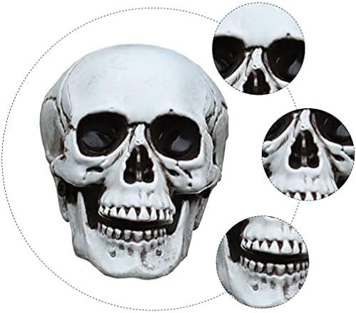HEALLILY Halloween Skull Decor Figurine Sculpture