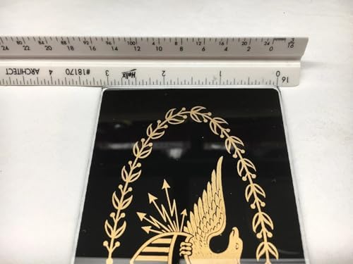 Yishey Gold and Black Eagle Glass Plaque