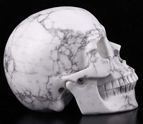 Skullis 5 Inch Howlite Crystal Skull Statue