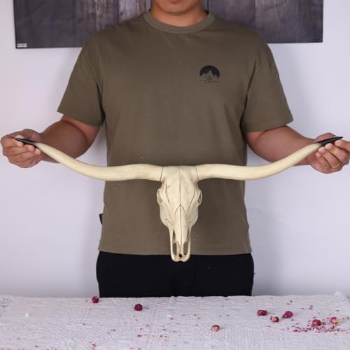 Realistic Longhorn Bull Skull Wall Decor