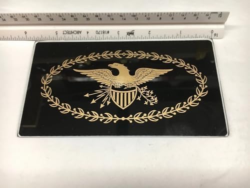 Yishey Gold and Black Eagle Glass Plaque