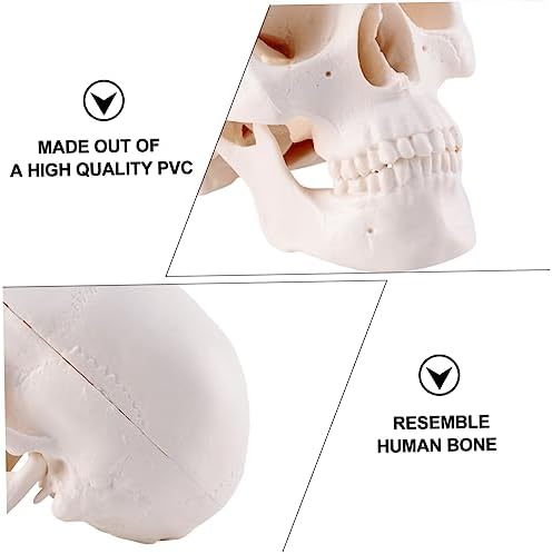 Creative Halloween Skull Decoration for Parties and Pranks