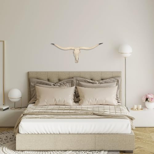 Realistic Longhorn Bull Skull Wall Decor