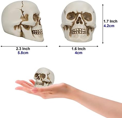 READAEER Resin Skull Statue 4 pcs Set