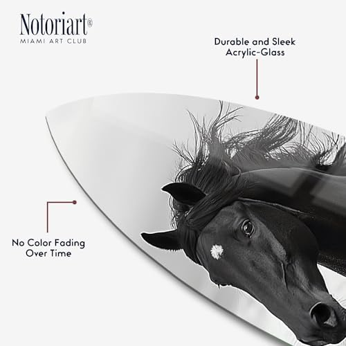 Graceful Horse Surfboard Acrylic Wall Art 15x60