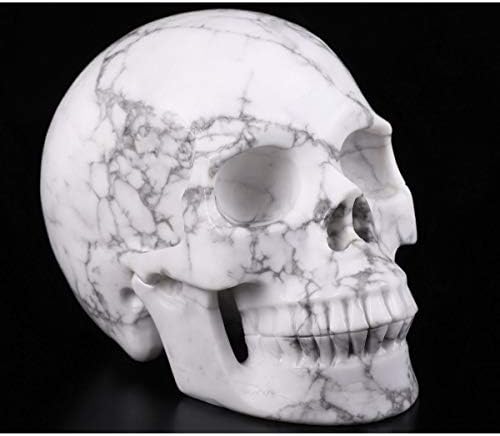 Skullis 5 Inch Howlite Crystal Skull Statue