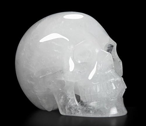 Huge 5 Inch Realistic Angolan Quartz Crystal Skull