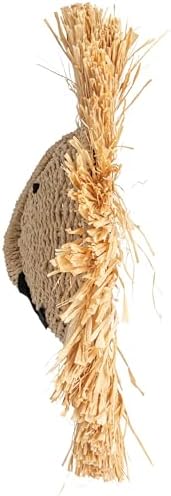 Savannah King Raffia Lion Wall Art Natural