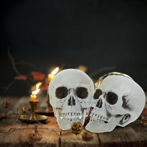 Magiclulu Life-Size Halloween Skull Decor