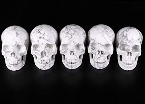 Skullis 5 Inch Howlite Crystal Skull Statue