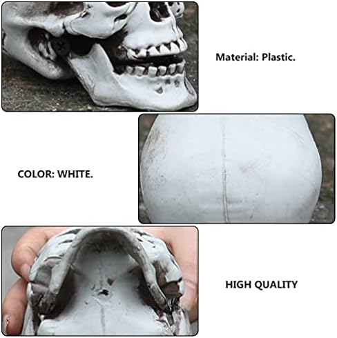 HEALLILY Halloween Skull Decor Figurine Sculpture