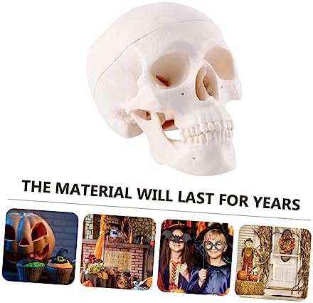 Creative Halloween Skull Decoration for Parties and Pranks