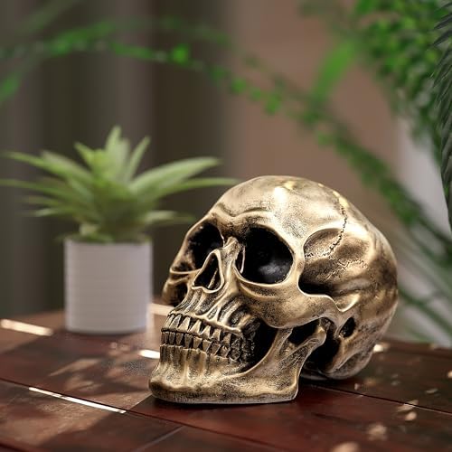 READAEER Resin Skull Statue for Home Decor and Halloween