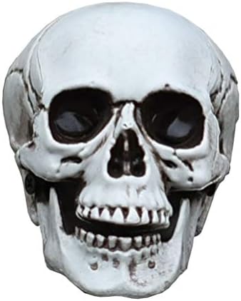 HEALLILY Halloween Skull Decor Figurine Sculpture
