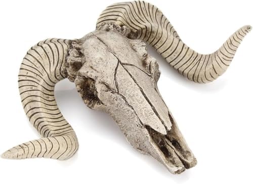 Long Horn Sheep Head Wall Faux Taxidermy Sculpture