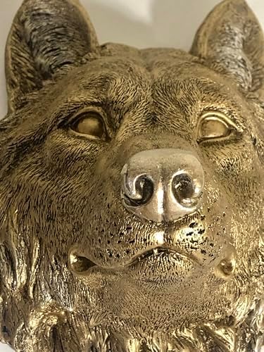 Realistic Wolf Head Wall Sculpture in Bronze Finish