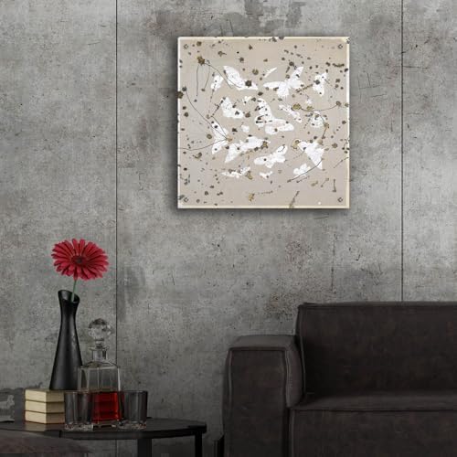 19th Century Butterfly Constellations Wall Art 24x24