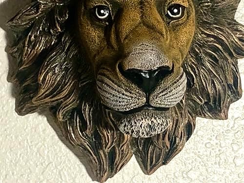 Decorative Lion Head Wall Sculpture with Bronze Finish