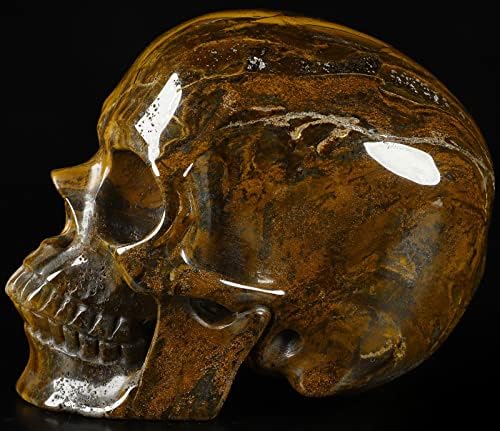 Skullis 5 Inch Tiger Iron Eye Crystal Skull Sculpture