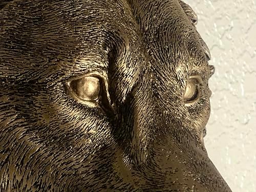 Realistic Wolf Head Wall Sculpture in Bronze Finish