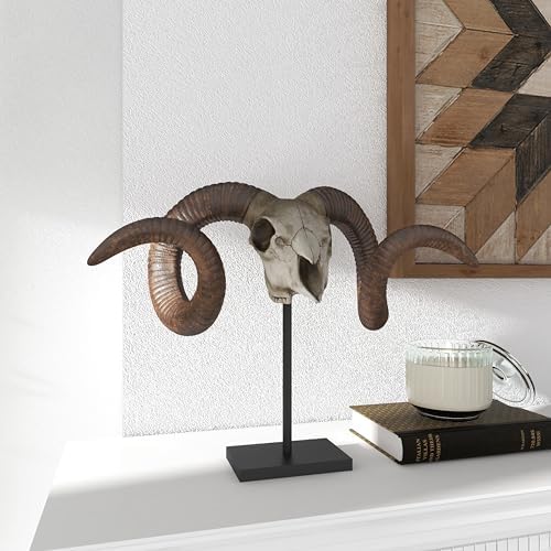 Deco 79 Polystone Ram Skull Decor Statue