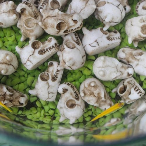 Mini Resin Dragon Skull Decorations 20PCS Halloween Figurines