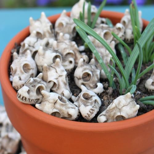 Mini Resin Dragon Skull Decorations 20PCS Halloween Figurines