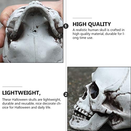 HEALLILY Halloween Skull Decor Figurine Sculpture