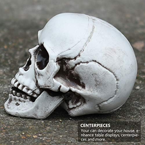 HEALLILY Halloween Skull Decor Figurine Sculpture