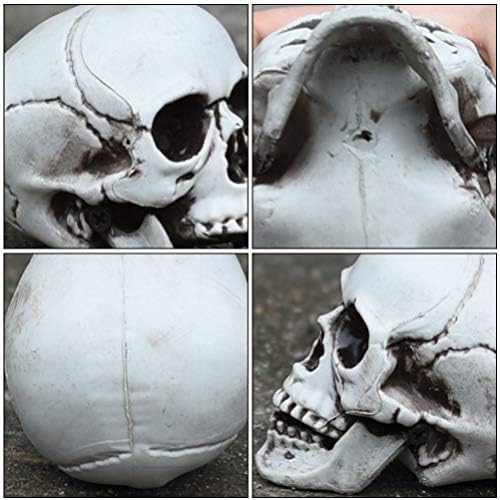 HEALLILY Halloween Skull Decor Figurine Sculpture