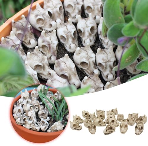 Mini Resin Dragon Skull Decorations 20PCS Halloween Figurines