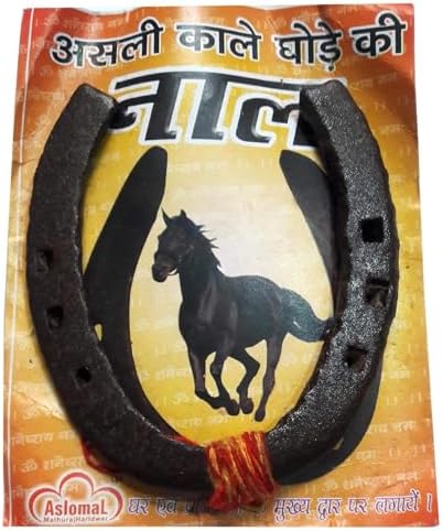 Original Black Horse Shoe Wall Hanging Sculpture