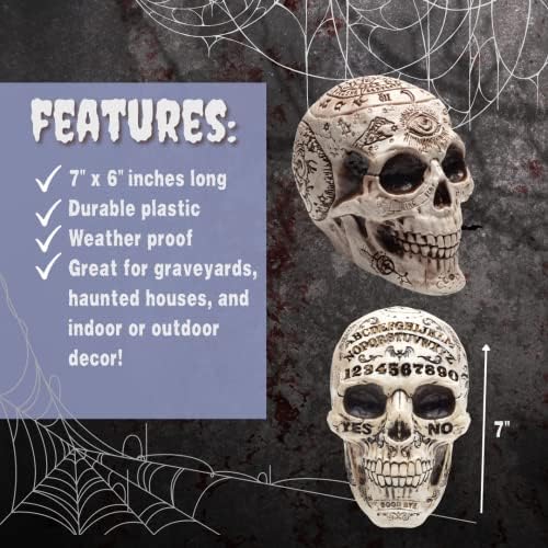 Halloween Skull Decorations 2 Pack Realistic Gothic Statues