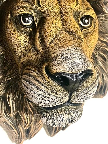 Decorative Lion Head Wall Sculpture with Bronze Finish